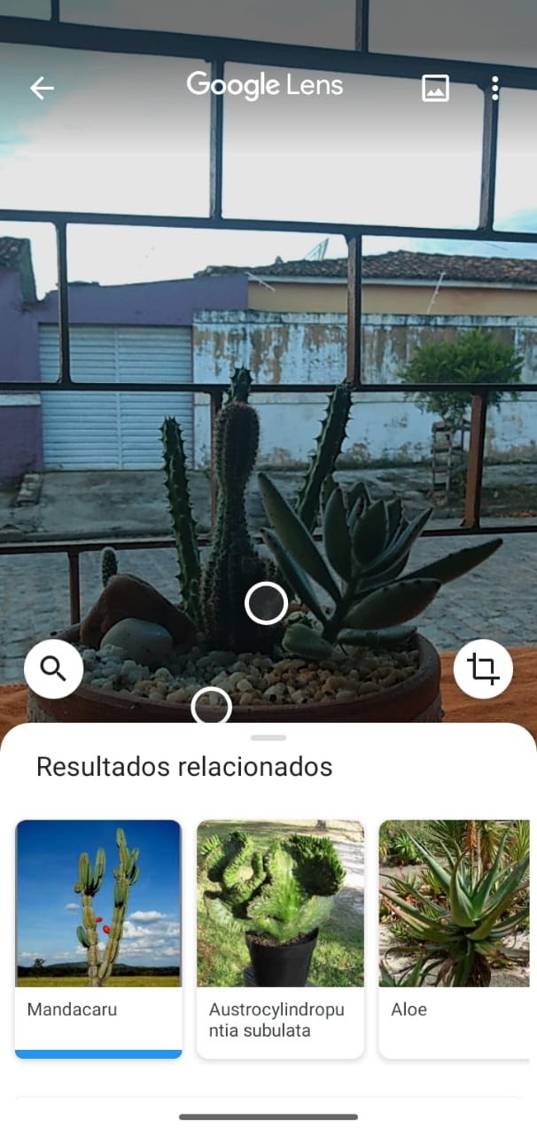 Como configurar a camera do Motorola One - Google Lens - WikiAjuda